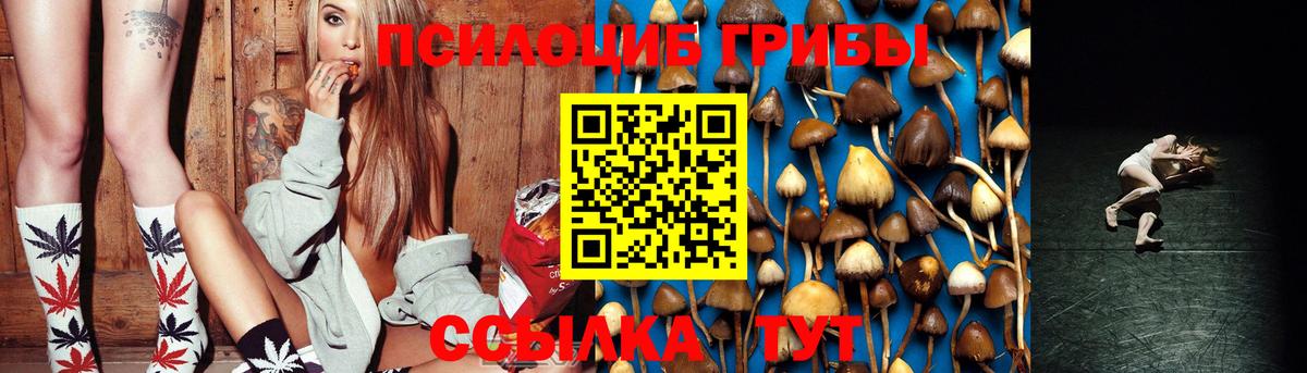 Псилоцибиновые грибы MAGIC MUSHROOMS  Вход с VPN  купить  цена  Сосновый Бор 