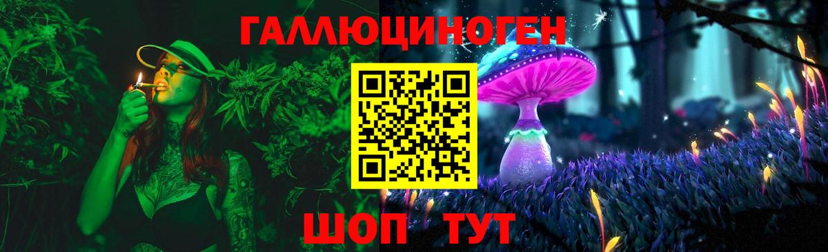Псилоцибиновые грибы GOLDEN TEACHER Сосновый Бор